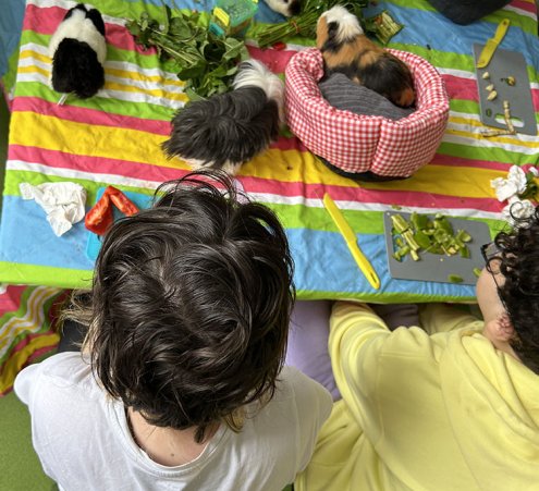 Des animaux s&rsquo;invitent au CHI Cr&eacute;teil