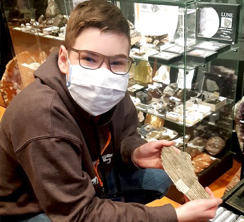 Devenir pal&eacute;ontologue, un r&ecirc;ve grav&eacute; dans la pierre