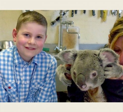 Le rêve d’Antoine : caresser un koala !