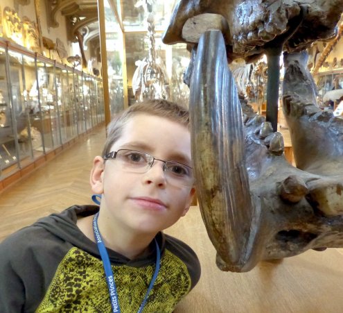 Paleontologic world