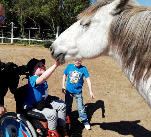 Roméo et les chevaux de Camargue