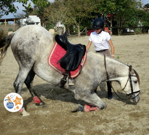 Murmurer &agrave; l'oreille des chevaux