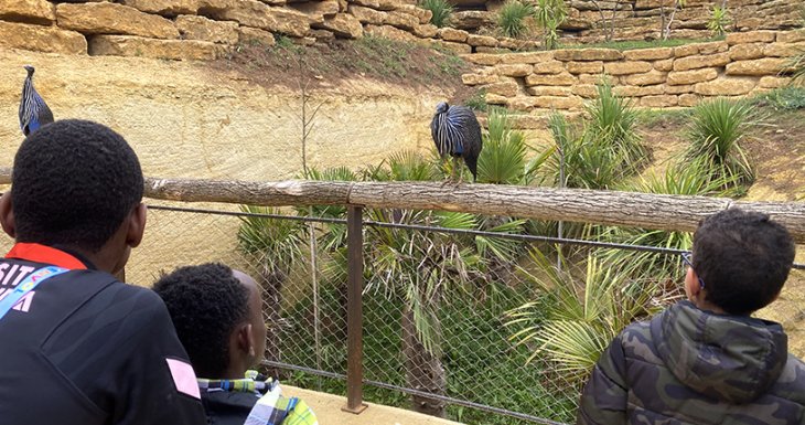 Un week-end au zoo pour des enfants suivis à Robert Debré