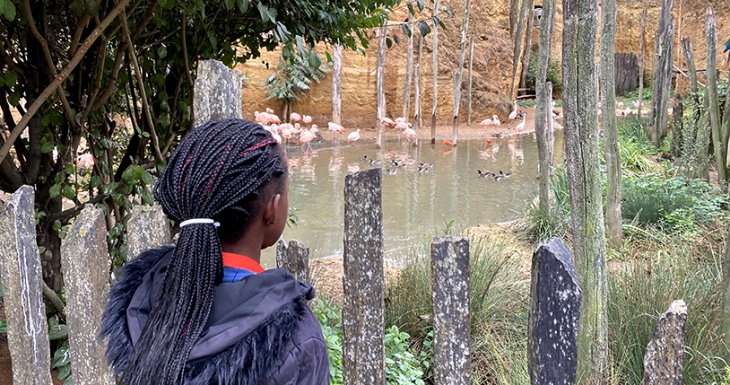 Un week-end au zoo pour des enfants suivis à Robert Debré