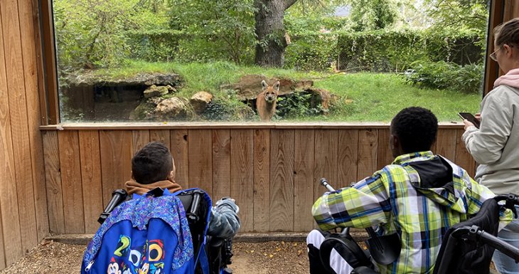 Un week-end au zoo pour des enfants suivis à Robert Debré