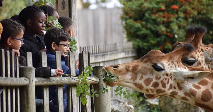 Un week-end au zoo pour des enfants suivis à Robert Debré
