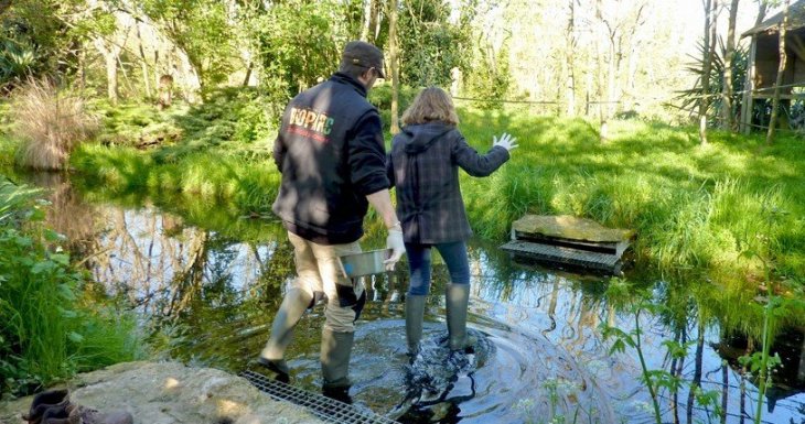Soigneuse d'un jour au Bioparc de Dou&eacute; la Fontaine