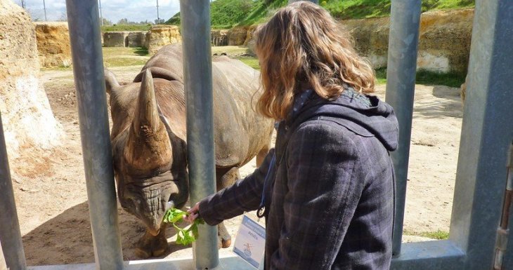 Soigneuse d'un jour au Bioparc de Dou&eacute; la Fontaine