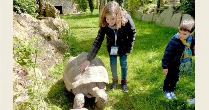 Soigneuse d'un jour au Bioparc de Dou&eacute; la Fontaine