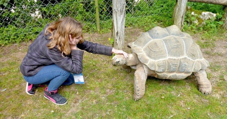 Soigneuse d'un jour au Bioparc de Dou&eacute; la Fontaine