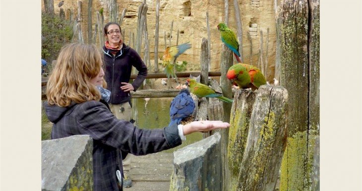 Soigneuse d'un jour au Bioparc de Dou&eacute; la Fontaine