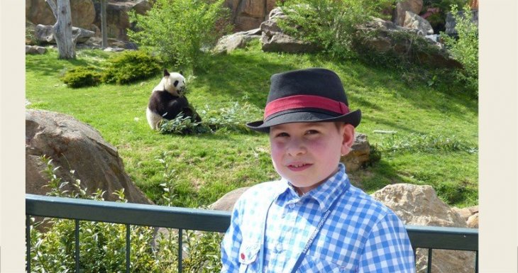 Le rêve d’Antoine : caresser un koala !