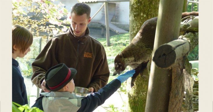 Le rêve d’Antoine : caresser un koala !