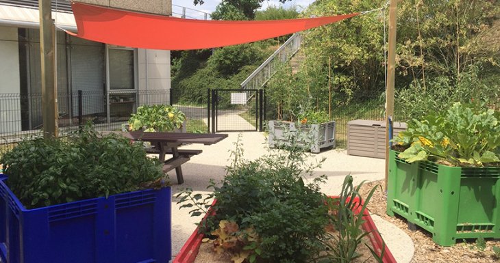 « Coup de pousse », le jardin potager du CHU de Rennes