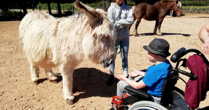 Roméo et les chevaux de Camargue