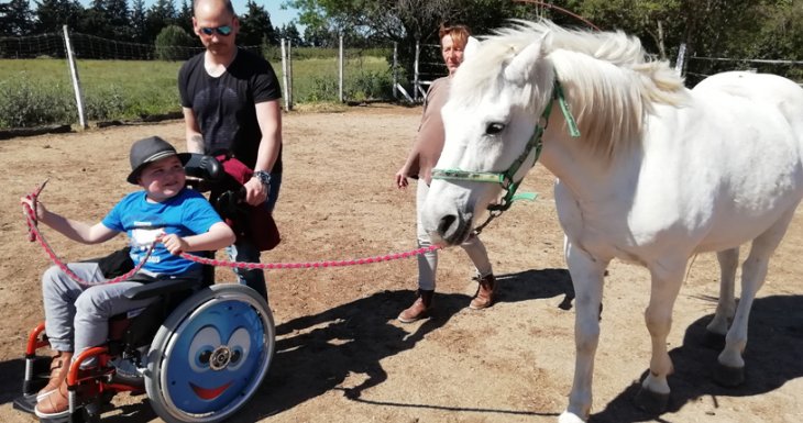 Roméo et les chevaux de Camargue