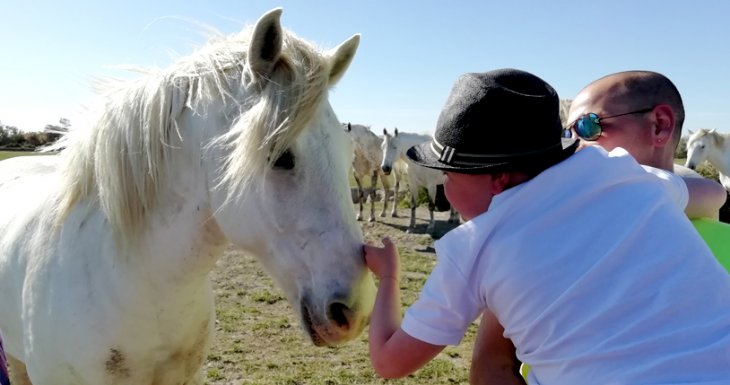Roméo et les chevaux de Camargue