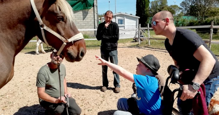 Roméo et les chevaux de Camargue