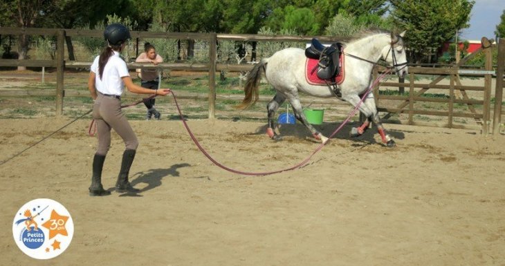 Murmurer &agrave; l'oreille des chevaux