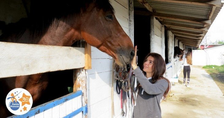 Murmurer &agrave; l'oreille des chevaux