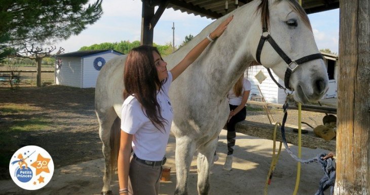 Murmurer &agrave; l'oreille des chevaux