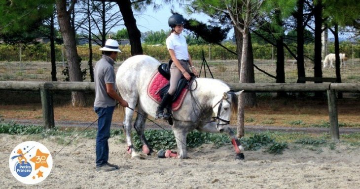 Murmurer &agrave; l'oreille des chevaux
