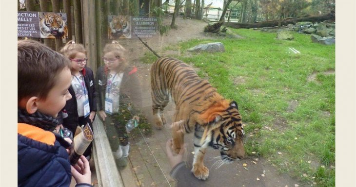 A la rencontre des animaux du zoo de la Flèche !