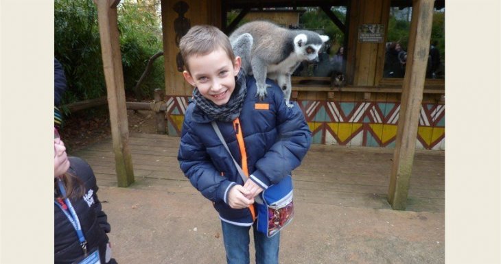 A la rencontre des animaux du zoo de la Flèche !