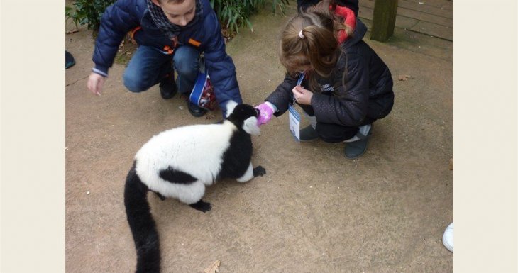 A la rencontre des animaux du zoo de la Flèche !
