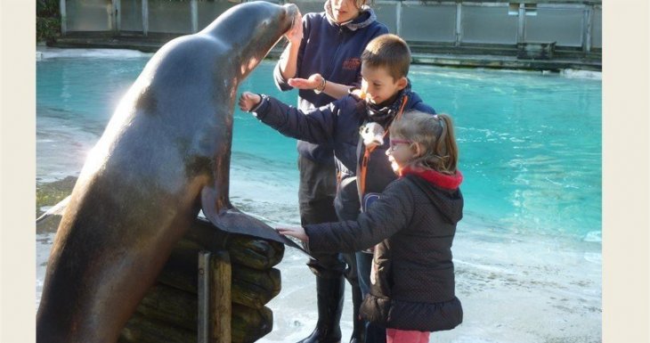 A la rencontre des animaux du zoo de la Flèche !