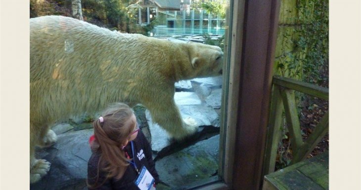 A la rencontre des animaux du zoo de la Flèche !