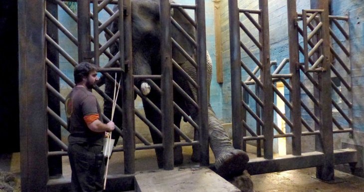Visite VIP pour deux petits princes au parc zoologique de Thoiry